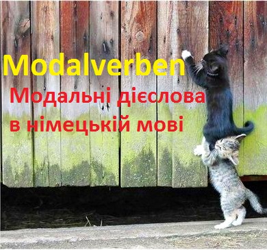 Модальні дієслова в німецькій мові - Modalverben, кошенята біля огорожі
