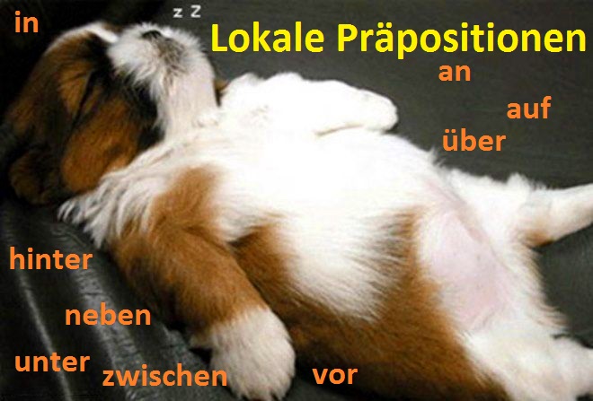 Прийменники місця (Lokale Präpositionen) в німецькій мові з прикладами і перекладом